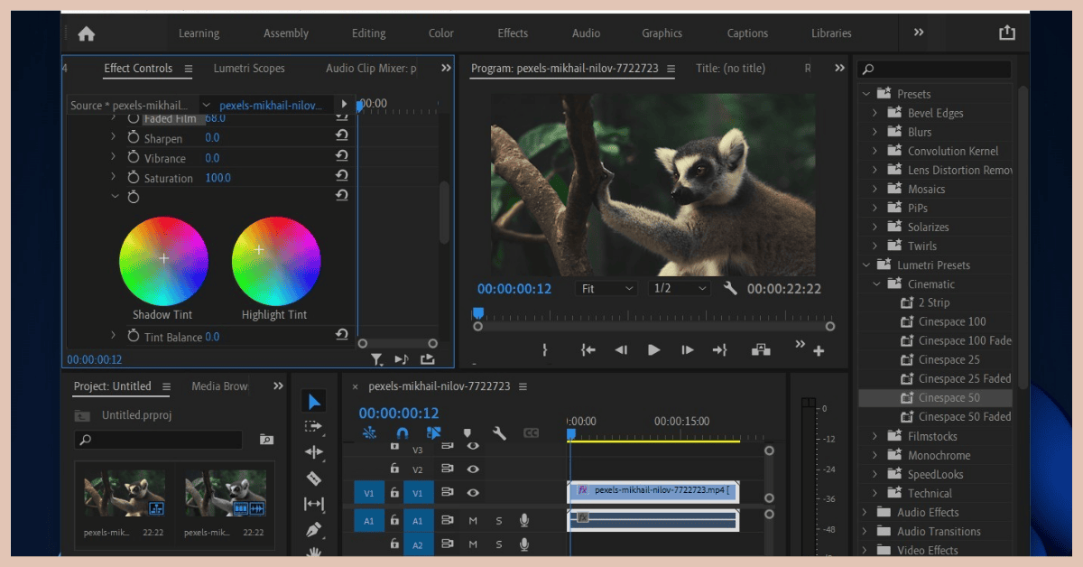 تحميل ادوبي بريمير مجانا